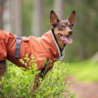Pomppa Perus Allwetter-Mantel Wintermantel mit Geschirröffnung NEUE Ausführung Rust 40