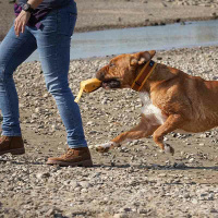 AnnyX Futterbeutel sonnenhut XXS