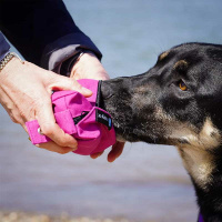 AnnyX Futterbeutel sonnenhut XS