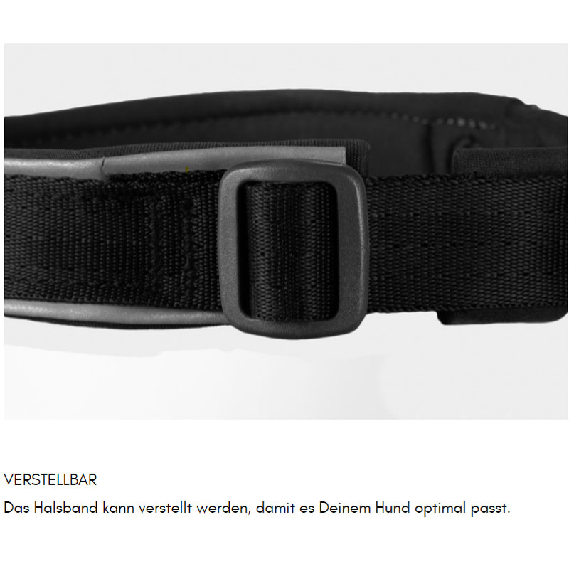Non-stop dogwear Roam Halsband gepolstert und verstellbar Gesamtübersicht