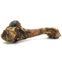 Wildschweinknochen schonend getrocknet