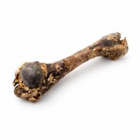 Wildschweinknochen schonend getrocknet S 50-100g