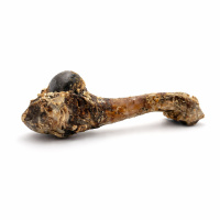 Wildschweinknochen schonend getrocknet L 200-350g