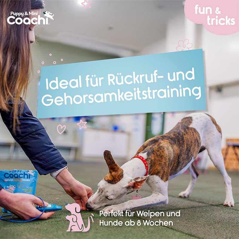 COACHI Puppy & MINI 2 in1 Whizzclick Clicker-Pfeife für Welpen
