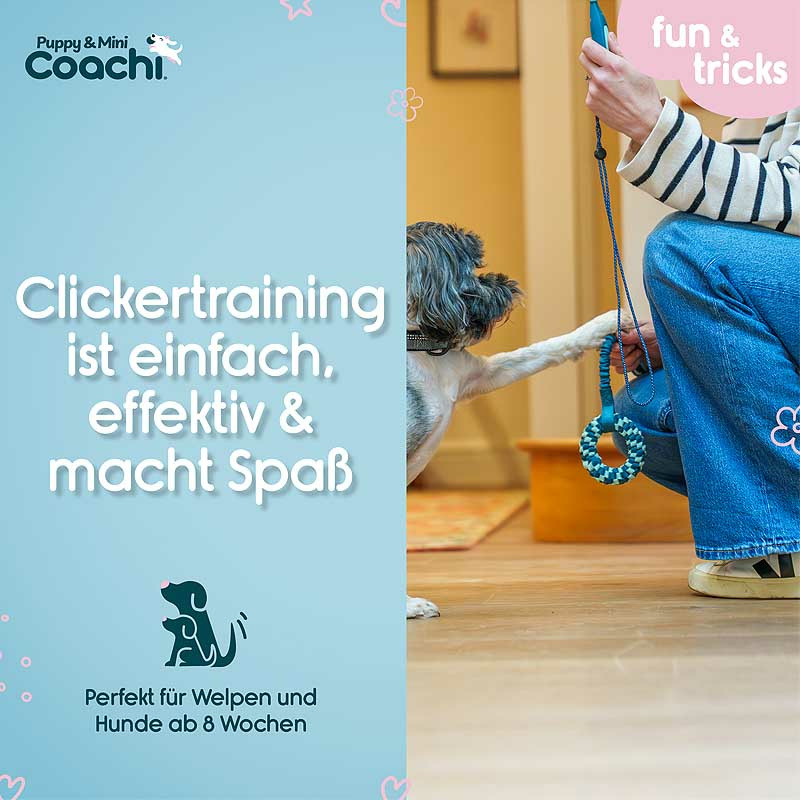 COACHI Puppy & MINI 2 in1 Whizzclick Clicker-Pfeife für Welpen