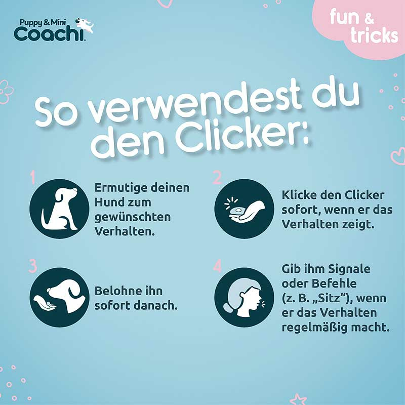 COACHI Puppy & MINI 2 in1 Whizzclick Clicker-Pfeife für Welpen