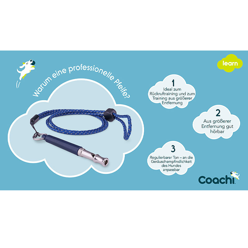 COACHI Professionelle Pfeife