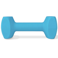 COACHI Training Hantel Dumbbell für Hunde