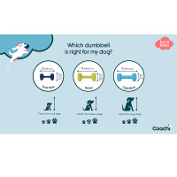 COACHI Training Hantel Dumbbell für Hunde L - Light Blue