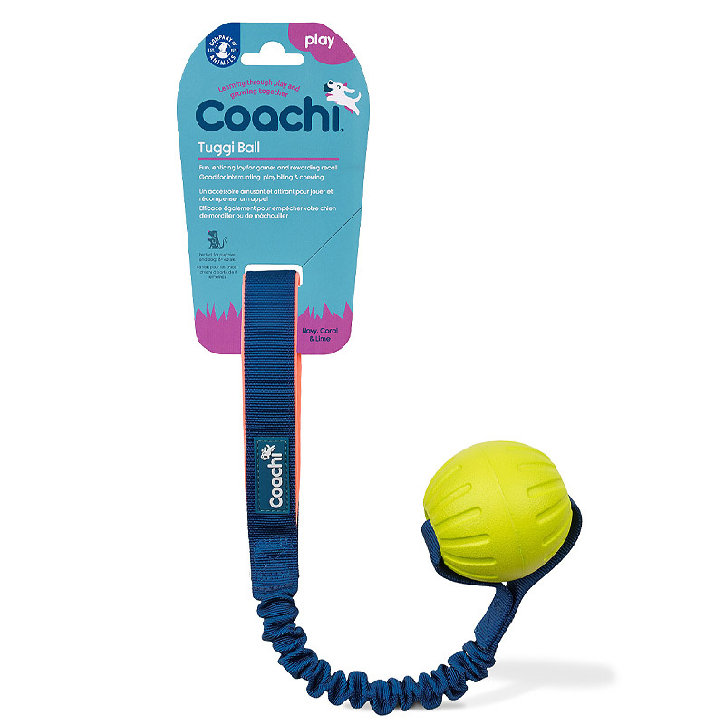 COACHI Tuggi Ball mit Bungee Griff für Hunde
