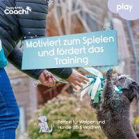 COACHI Puppy Mini Tuggi SPIDER Zerrspielzeug für Welpen