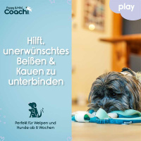 COACHI Puppy Mini Tuggi SPIDER Zerrspielzeug für Welpen in Teal-mint