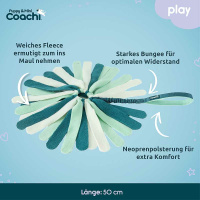 COACHI Puppy Mini Tuggi SPIDER Zerrspielzeug für Welpen in Teal-mint