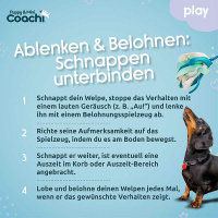 COACHI Puppy Mini Tuggi SPIDER Zerrspielzeug für Welpen in Teal-mint