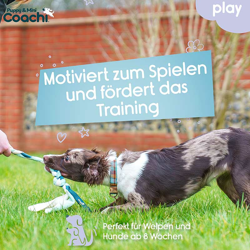 COACHI Puppy Mini Tuggi Tug Zerrspielzeug für Welpen
