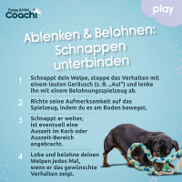 COACHI Puppy Mini Tuggi Tug Zerrspielzeug für Welpen