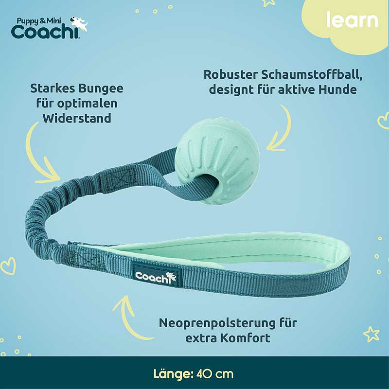 COACHI Puppy Mini Tuggi Ball mit Bungee für Welpen