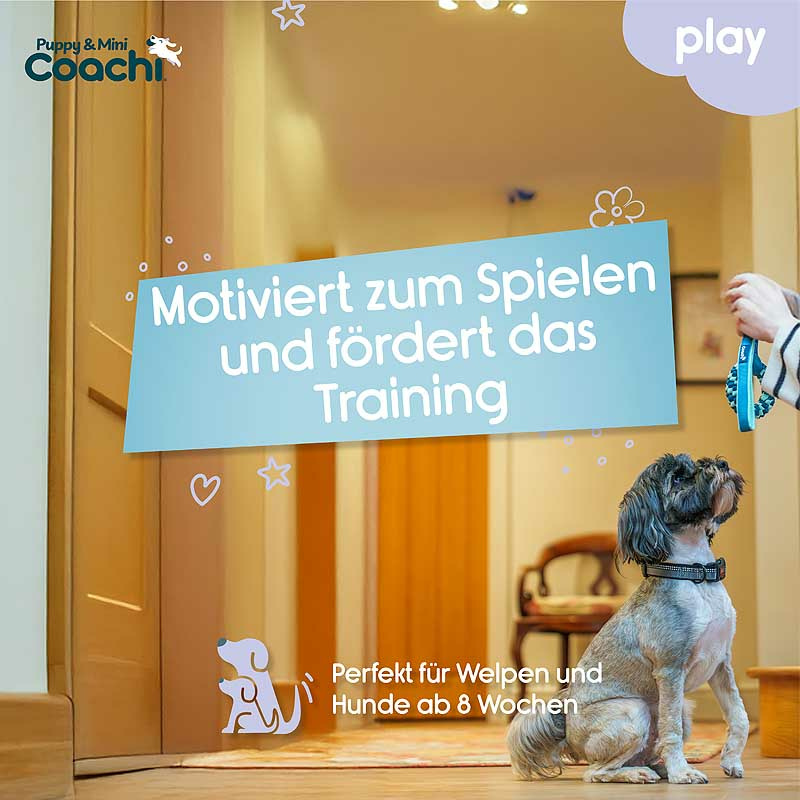 COACHI Puppy Mini Tuggi HELIX Bungee-Zerrspielzeug für Welpen