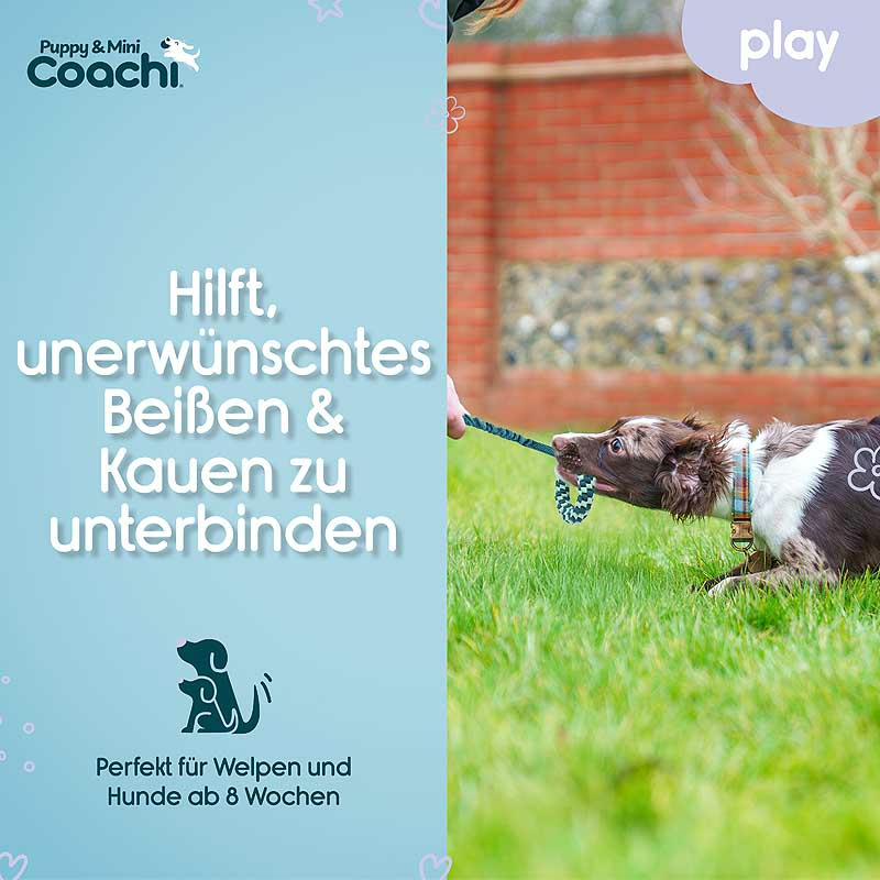 COACHI Puppy Mini Tuggi HELIX Bungee-Zerrspielzeug für Welpen
