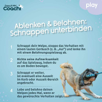 COACHI Puppy Mini Tuggi HELIX Bungee-Zerrspielzeug für Welpen
