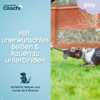 COACHI Puppy Mini Tuggi HELIX Bungee-Zerrspielzeug Teal-mint
