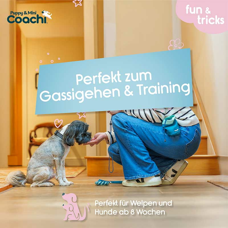 COACHI Puppy Mini Treat Pouch Leckerlie Tasche Beutel