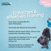 COACHI Puppy Mini Treat Pouch Leckerlie Tasche Beutel Teal-mint