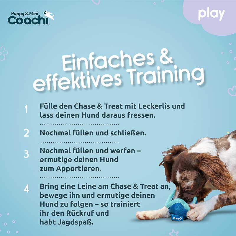 COACHI Puppy Mini Chase & Treat Snackball Welpen Teal-mint