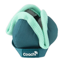 COACHI Puppy Mini Chase & Treat für Spaß und Training für Welpen Teal-mint