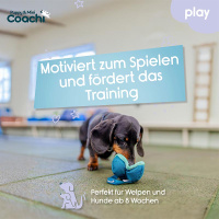 COACHI Puppy Mini Chase & Treat für Spaß und Training für Welpen Teal-mint