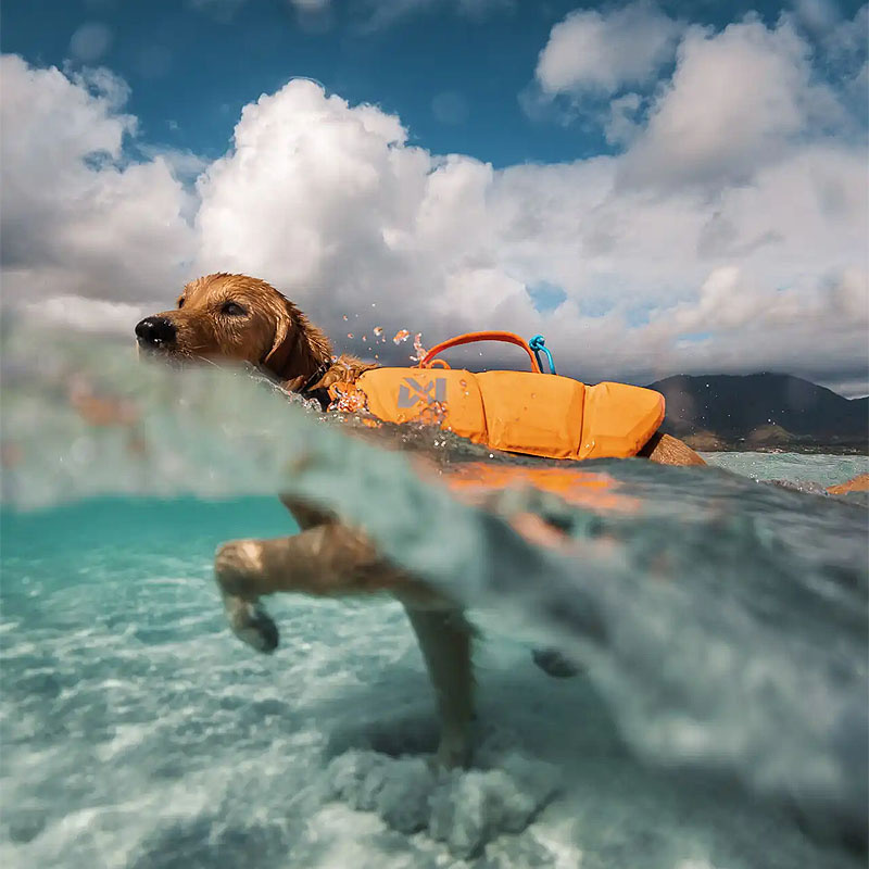 Non-stop dogwear Hundeschwimmweste Protector Gesamtübersicht