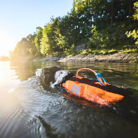 Non-stop dogwear Hundeschwimmweste Protector Gesamtübersicht