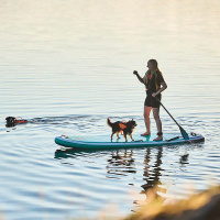 Non-stop dogwear Hundeschwimmweste Protector Gesamtübersicht