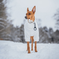 Orbiloc Safety Light helles Hundelicht Sicherheitslicht wasserdicht AMBER-BERNSTEIN