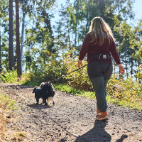 Non-stop dogwear Trekking belt Wandern Gurt Bauchgurt 2.0 lila-violett L  85-165 cm