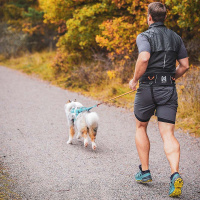 Non-stop dogwear Trekking belt Wandern Gurt Bauchgurt 2.0 schwarz-grau S  74-85 cm