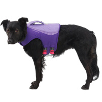 RUFFWEAR Float Coat Schwimmweste für Hunde Purple Lily-lila XS