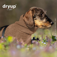 DryUp Trocken Cape Hundebademantel Trockenmantel für Dackel cofffee-braun 30cm Rückenlänge