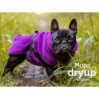 DryUp Trocken Cape Hundebademantel für Mops Bulldogge lila-violett-bilberry 50cm Rückenlänge