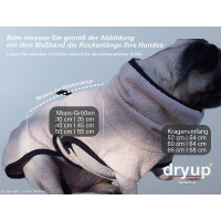 DryUp Trocken Cape Hundebademantel für Mops Bulldogge petrol 30cm Rückenlänge