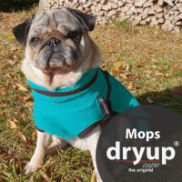 DryUp Trocken Cape Hundebademantel für Mops Bulldogge petrol 50cm Rückenlänge