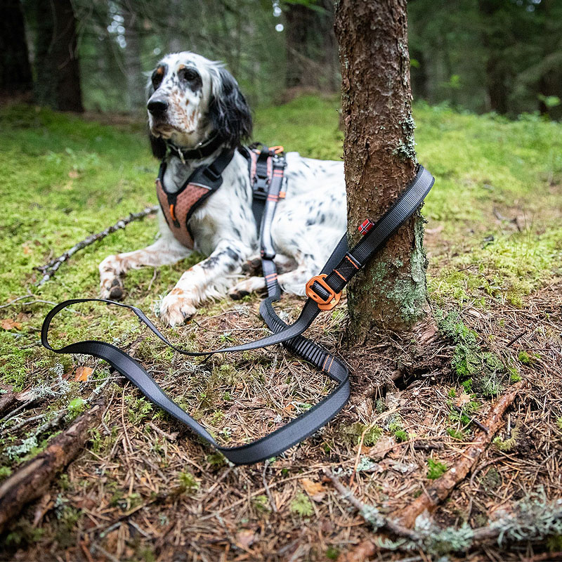 Non-stop dogwear Drying Coat Bademantel für Hunde