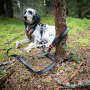 Non-stop dogwear Drying Coat Bademantel für Hunde