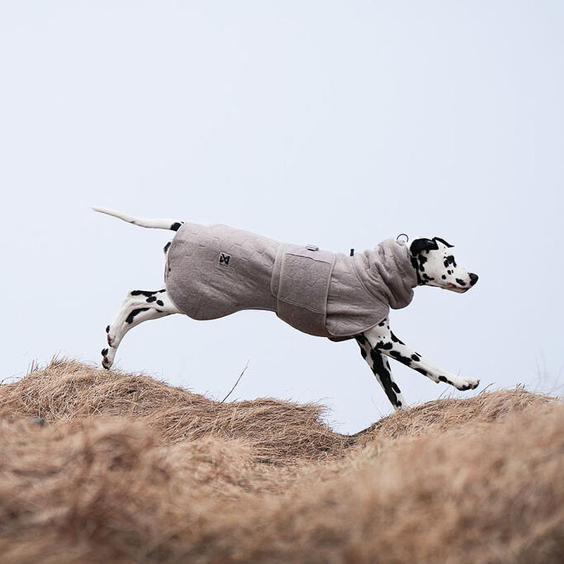 Non-stop dogwear Drying Coat Bademantel für Hunde sand-creme 36