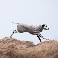 Non-stop dogwear Drying Coat Bademantel für Hunde sand-creme 50