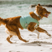 Hurtta Cooling Wrap Kühlweste für Hunde aqua-blau 85-95cm