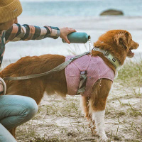 Hurtta Cooling Wrap Kühlweste für Hunde turmeric-ocker 45-55cm