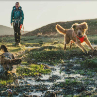 Ruffwear Front Range Brustgeschirr Gesamtübersicht