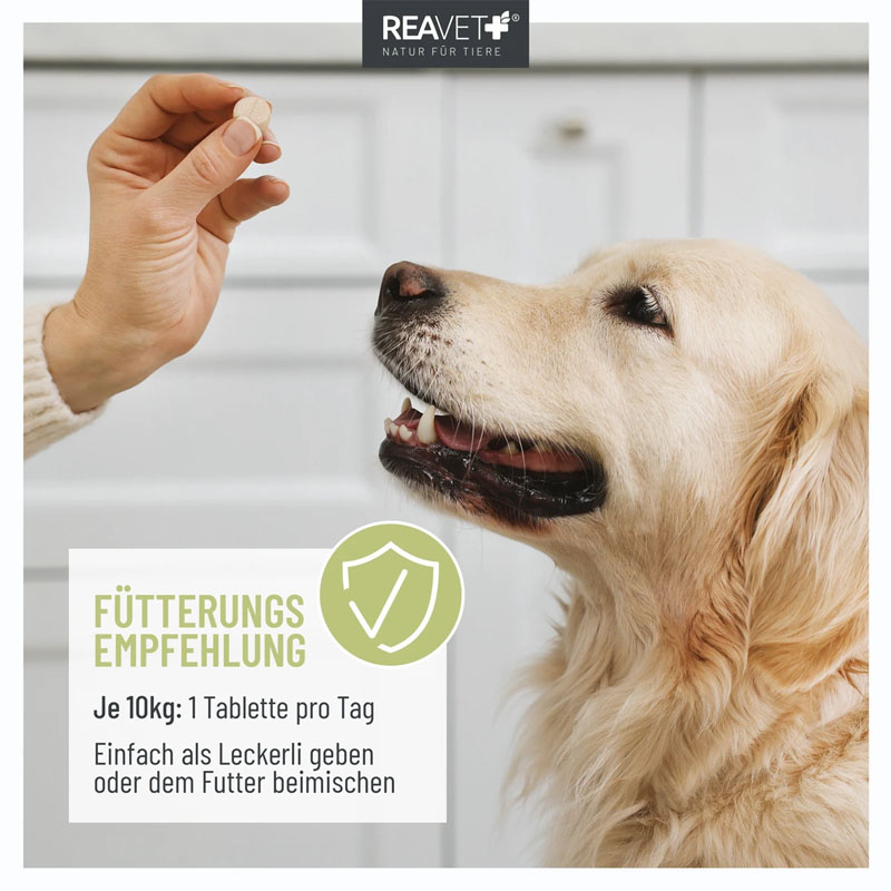 REAVET Z-Blocker Plus Tabletten gegen Zecken