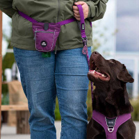 Dog Copenhagen Leine rund Führleine Urban Rope V3 Gesamtübersicht Lemon gelb S